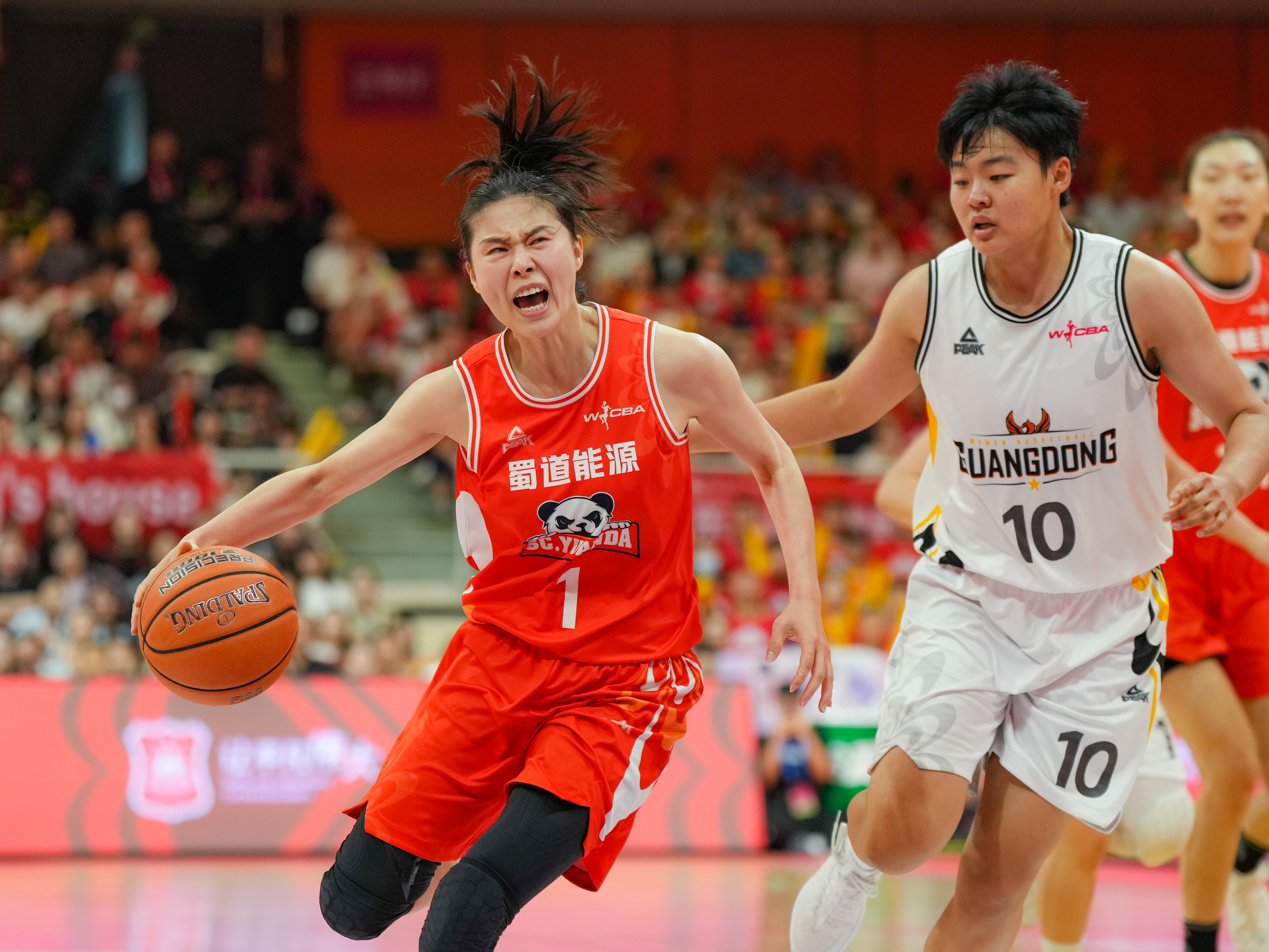 cba四川的比赛_(cba四川比赛场地)  第2张