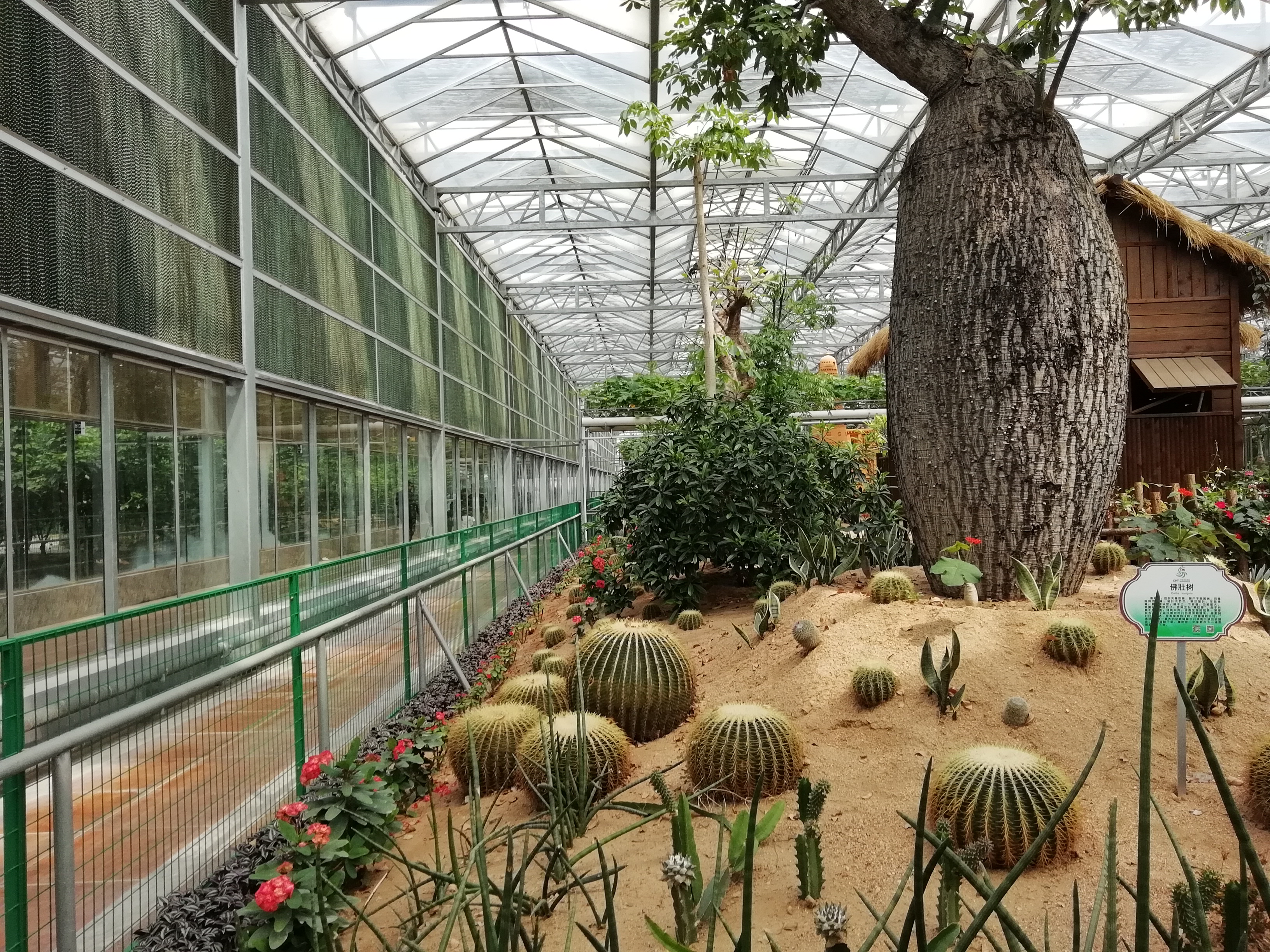 包含通辽台直播钱家店镇大棚项目的词条  第2张