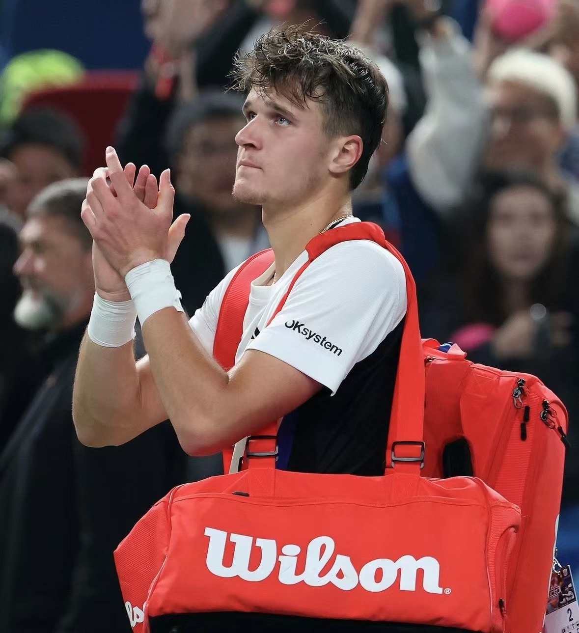 巴希克_(巴希克壁挂炉使用方法视频)  第2张