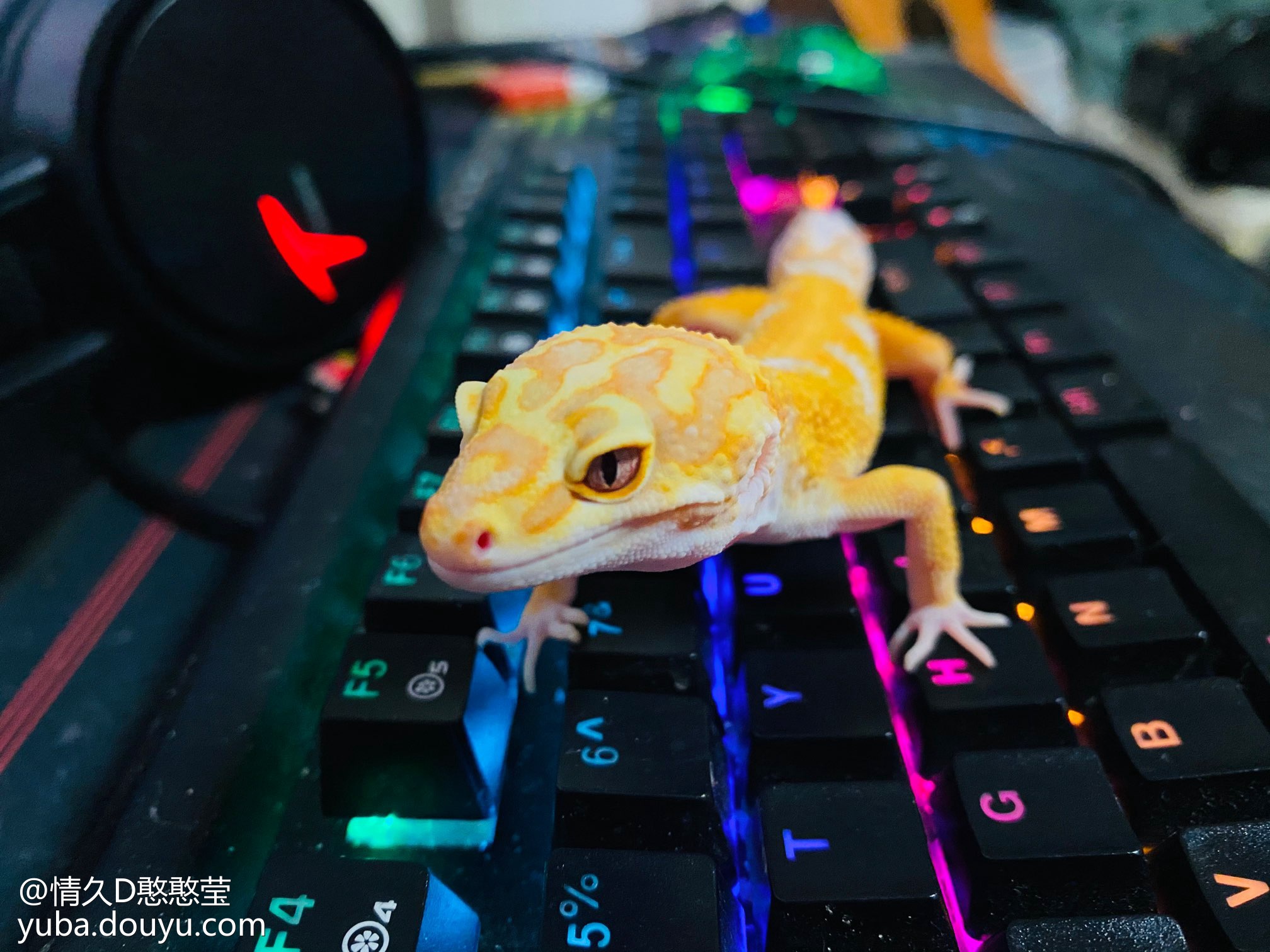 0.8吧直播吧_(直播吧522) 第1张 0.8吧直播吧_(直播吧522) 第1张