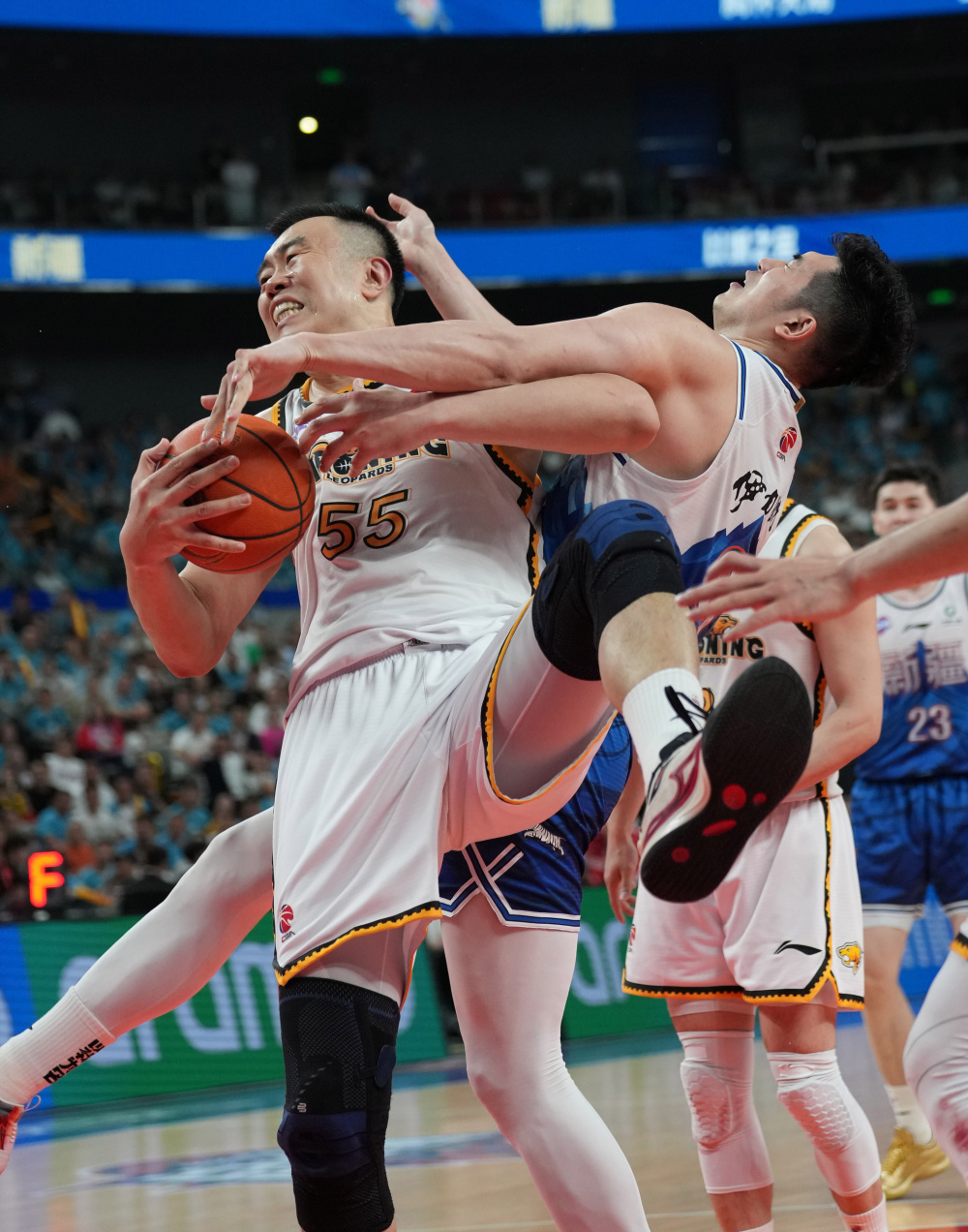 cba辽宁队队_(cba辽宁队队员照片)  第1张