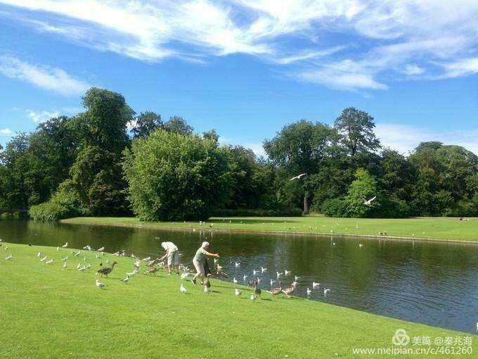丹麦超：北西兰VS弗雷德里西亚FC的简单介绍  第2张