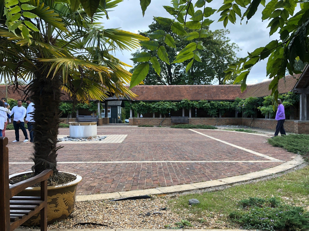 英议南：赫默尔亨普斯特德VS霍舍姆的简单介绍