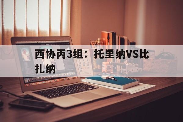 西协丙3组：托里纳VS比扎纳的简单介绍  第1张