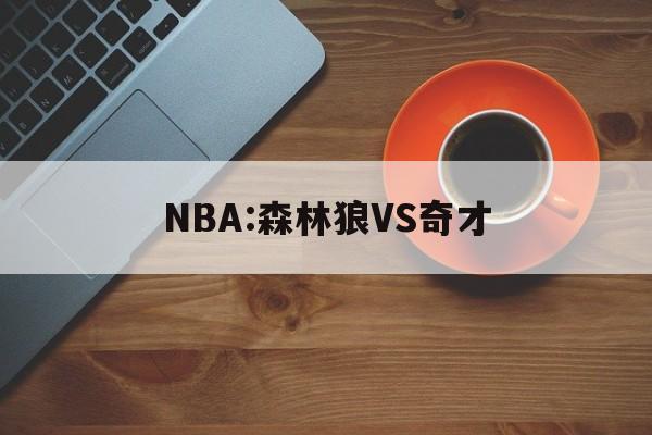 NBA:森林狼VS奇才