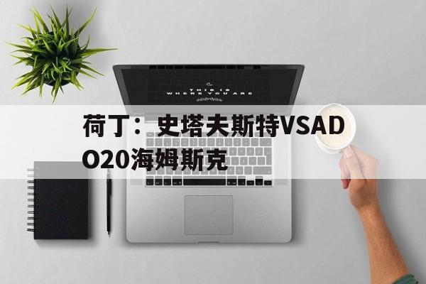 荷丁：史塔夫斯特VSADO20海姆斯克的简单介绍